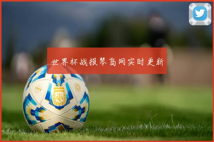 世界杯战报琴岛网实时更新