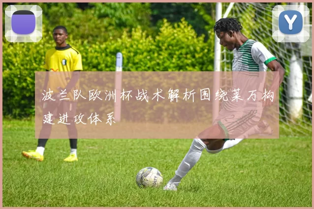 波兰队欧洲杯战术解析围绕莱万构建进攻体系