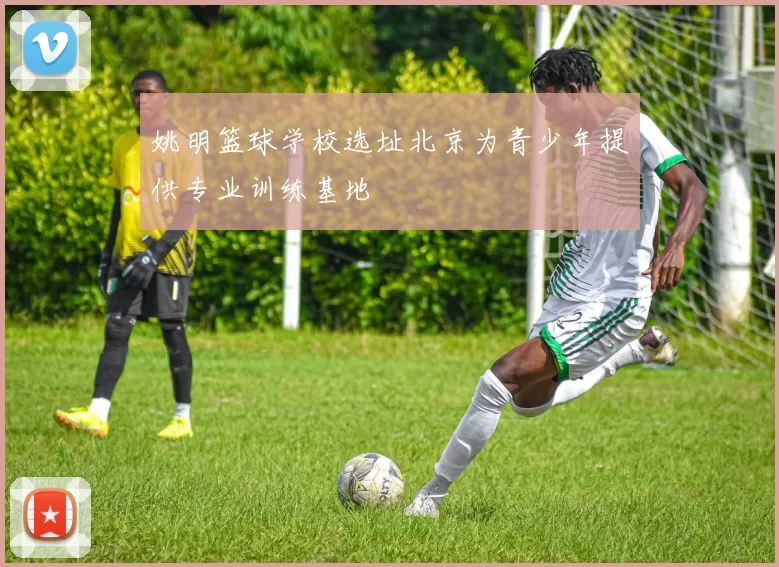 姚明篮球学校选址北京为青少年提供专业训练基地